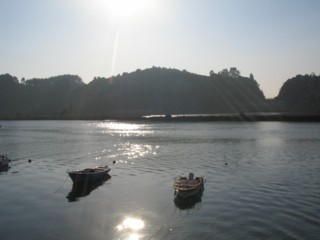 20060117223621-img-0394.jpg