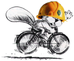 20060208183358-castobici1.gif