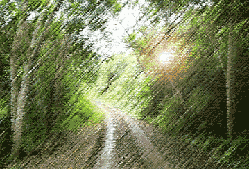 20060213140100-bosque.gif