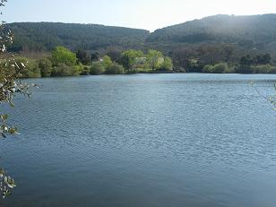 20070322212405-foto-1.jpg