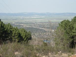 20070323111916-foto-5.jpg
