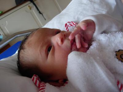 20070423124302-dscn1472.jpg