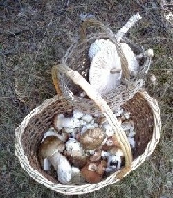 20071014231513-fotoblog1.jpg