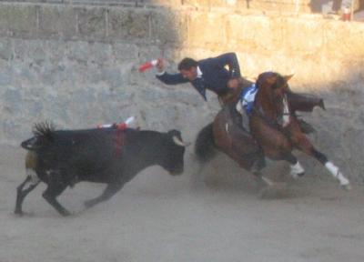 20080830230245-banderillas-cortas.jpg