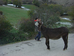 20081107141714-el-burro.jpg