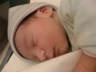20081222100747-photo.jpg