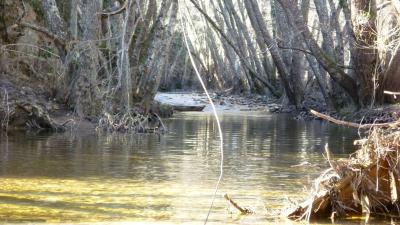 20100208122740-020.jpg